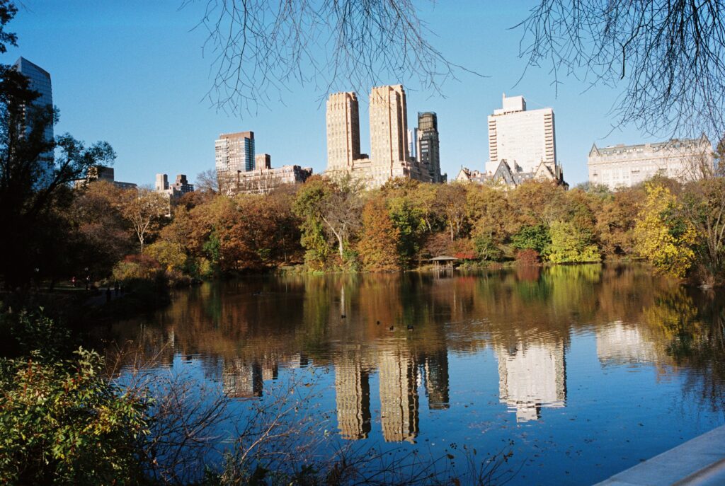 Film photo of a reflective lake in Central Park, framed by autumn foliage and New York City skyline buildings, captured on Kodak Portra 400 film with a Contax G1 camera