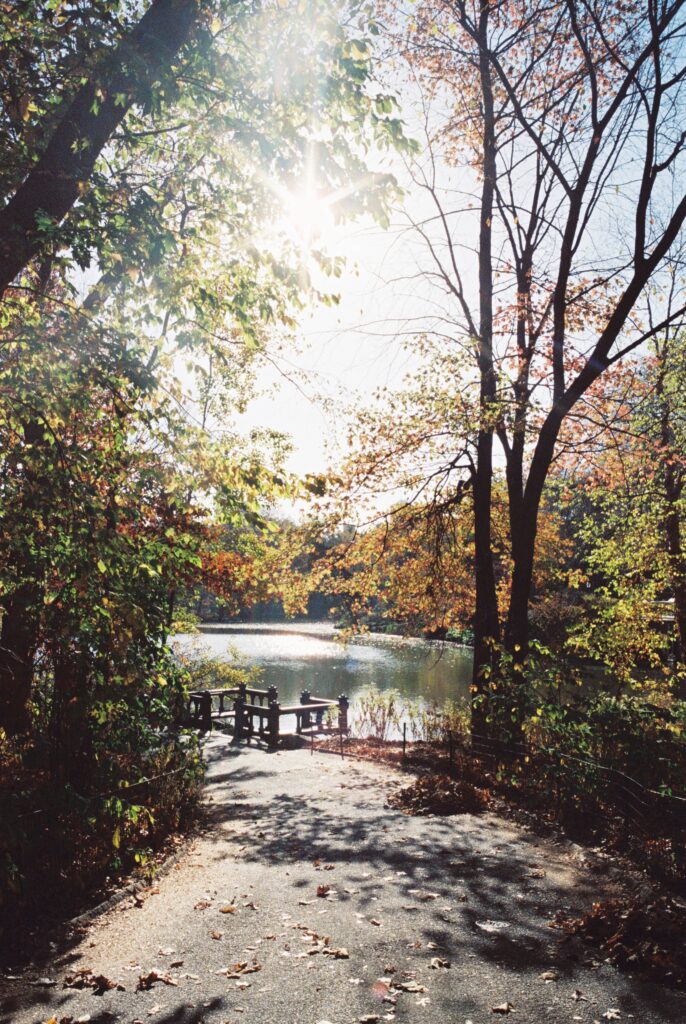 Film photo of a sunlit path leading to a small dock by the lake in Central Park, framed by autumn trees and dappled sunlight, captured on Kodak Portra 400 film with a Contax g1 camera