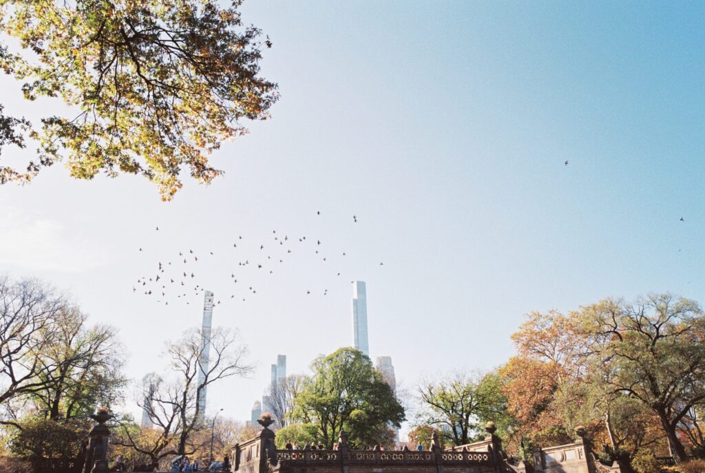 Film photo of Bethesda Terrace in Central Park with birds flying across the sky, framed by autumn trees and Manhattan skyscrapers, shot on Kodak Portra 400 film with a Contax G1 camera