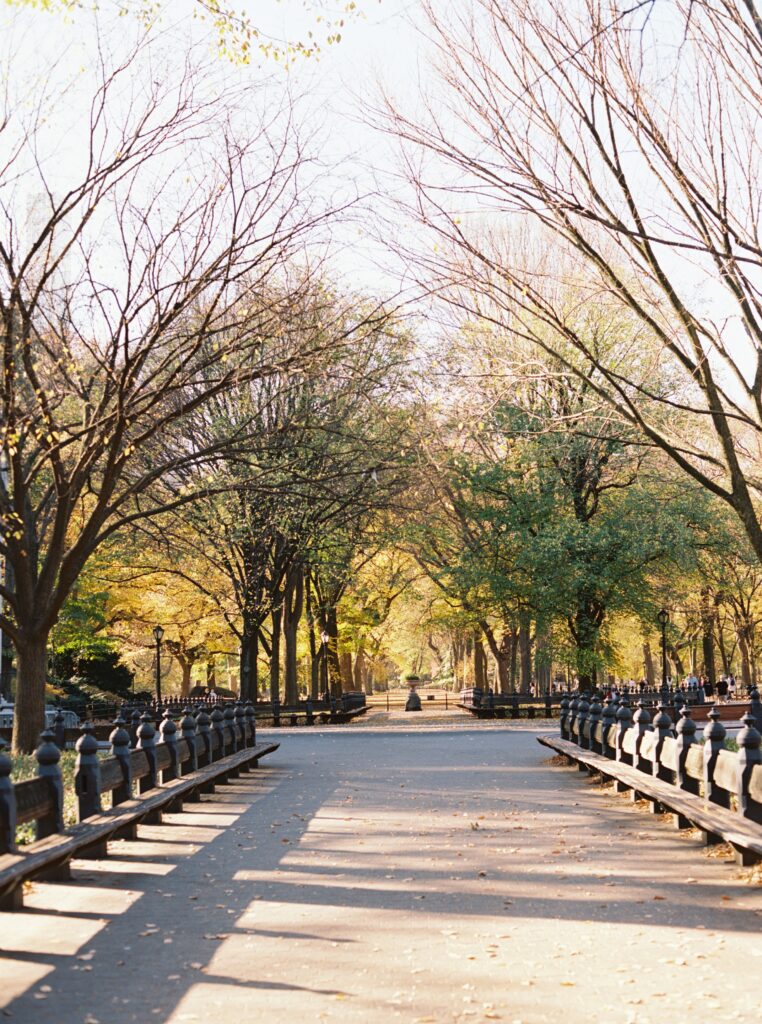 Film photo of The Mall in Central Park, New York City, lined with trees and benches, bathed in soft golden autumn light, captured on Portra 400 film with a Contax 645 camera