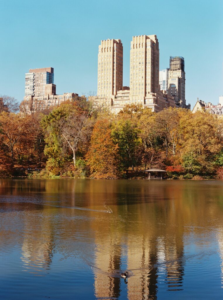 Film photo of a serene lake in Central Park, reflecting autumn trees and iconic New York City buildings under a clear blue sky, shot on Kodak Portra 400 film with a Contax 645 camera