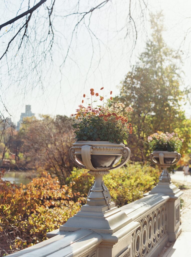 Film photo of floral planters on the iconic Bow Bridge in Central Park, surrounded by soft autumn light and foliage, captured on Kodak Portra 400 film with a Contax 645 camera