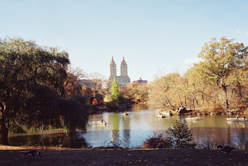 A serene view of Central Park with a tranquil lake, surrounded by autumn foliage, and the iconic San Remo towers visible in the background.