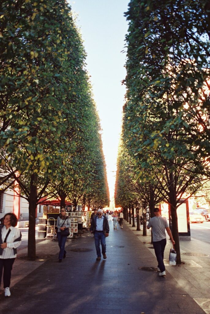 Tree-lined walkway outside the Metropolitan Museum of Art in New York City, captured on Cinestill film by Lexie Vaccaro Photography.